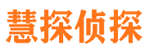 卢氏侦探公司